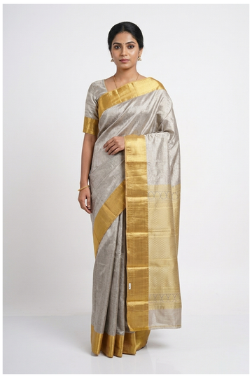 Champagne South Tissue Silk Wedding & Party Wear Saree