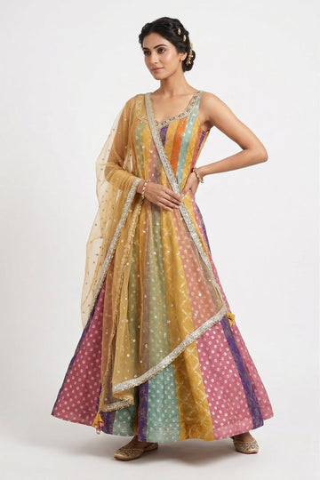 Multicolor Panelled Anarkali Gown With Embroidered Dupatta