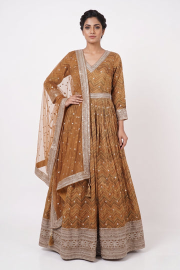 Royal Amber Embroidered Anarkali Gown Set