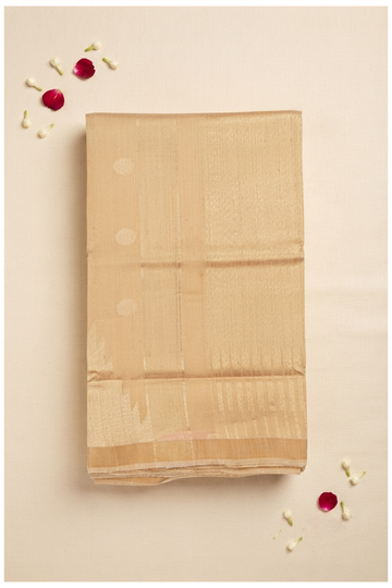 Champagne South Tissue Silk Wedding Party Wear Saree