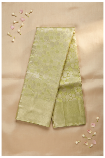 Pale Olive Green South Tissue Silk Wedding & Party Wear Saree