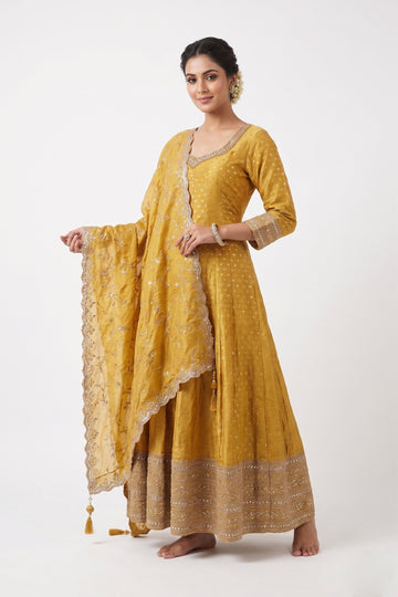 Golden Glow Embroidered Anarkali Gown Set