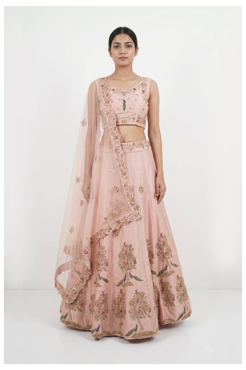 Blush Pink Embroidered Lehenga Choli With Net Dupatta