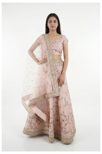 Blush Pink Handwork & Embroidered Lehenga Choli With Net Dupatta