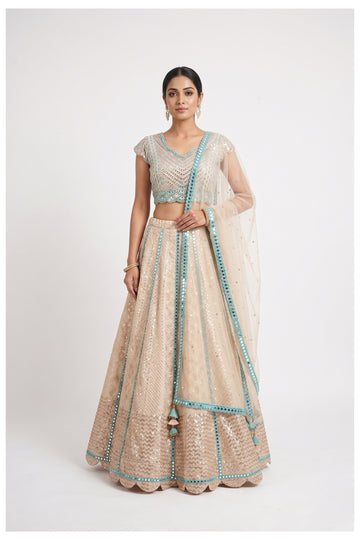 Champagne Beige Sequins Embroidered Lehenga Choli With Net Dupatta