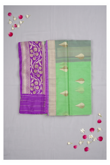Pista Green Banarasi Pure Silk Wedding Party Wear Saree