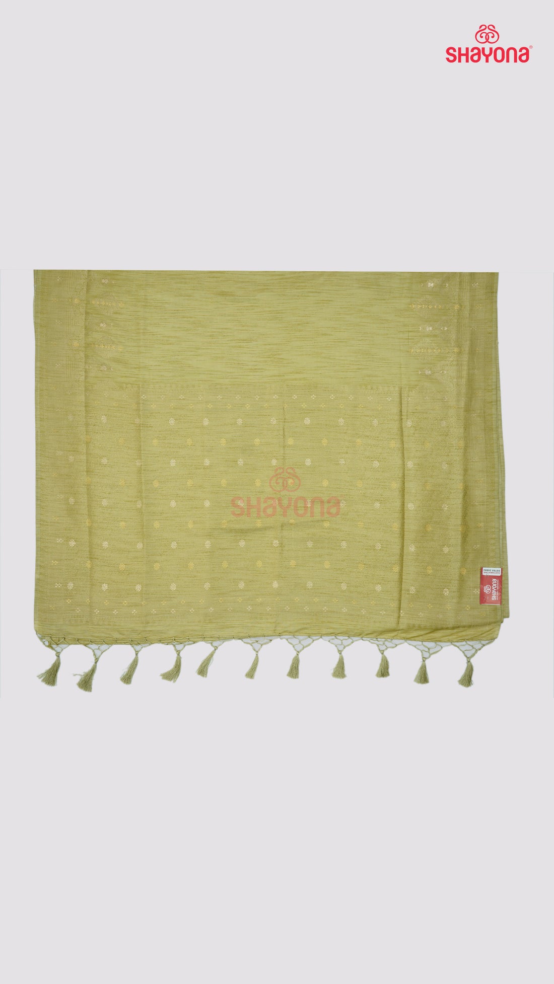 Light Gold Banarasi Soft Silk Saree with Heavy Minakari Nakshi Border & Pallav