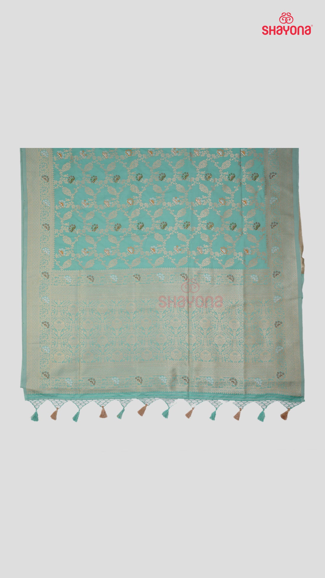 Light Aqua Banarasi Silk Ashavali Saree with Minakari Butta in Diagonal Jaal