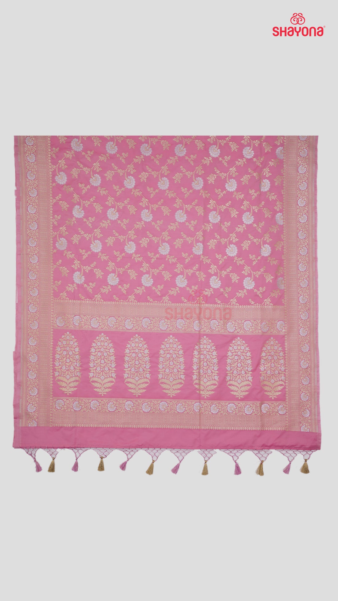 Pink Banarasi Silk Ashavali Saree with Minakari Jaal Gala, Nakshi Border & Heavy Pallav