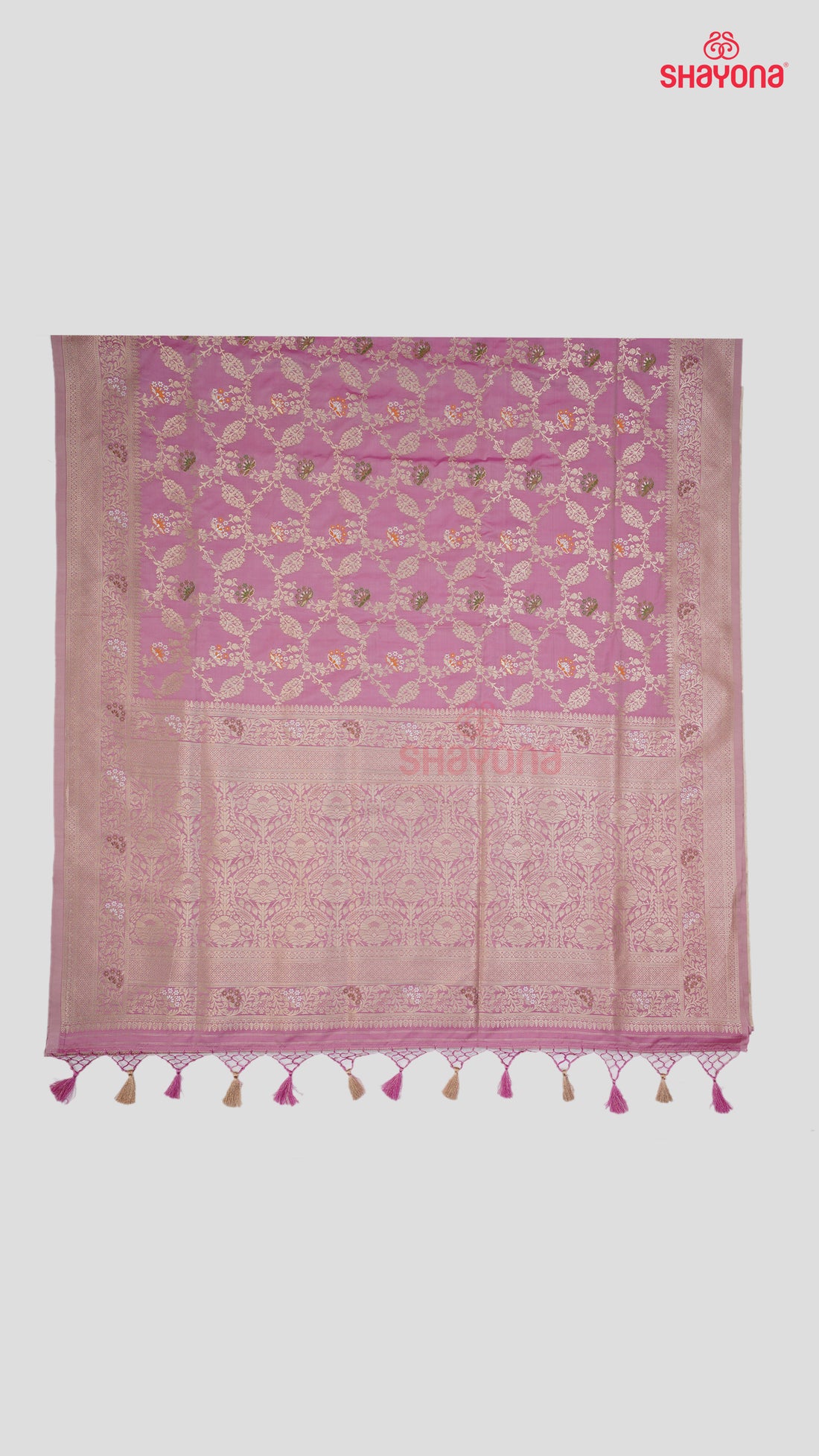 Pink Banarasi Silk Ashavali Saree with All-Over Jaal, Minakari Butta in Gala & Nakshi Border